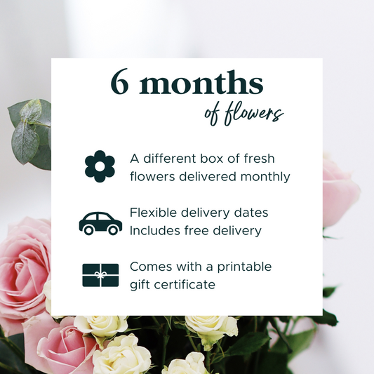 6 Months of Flowers