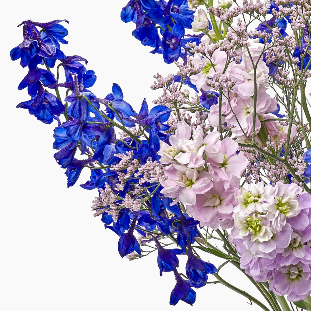 September 2021 - Spring Playlist