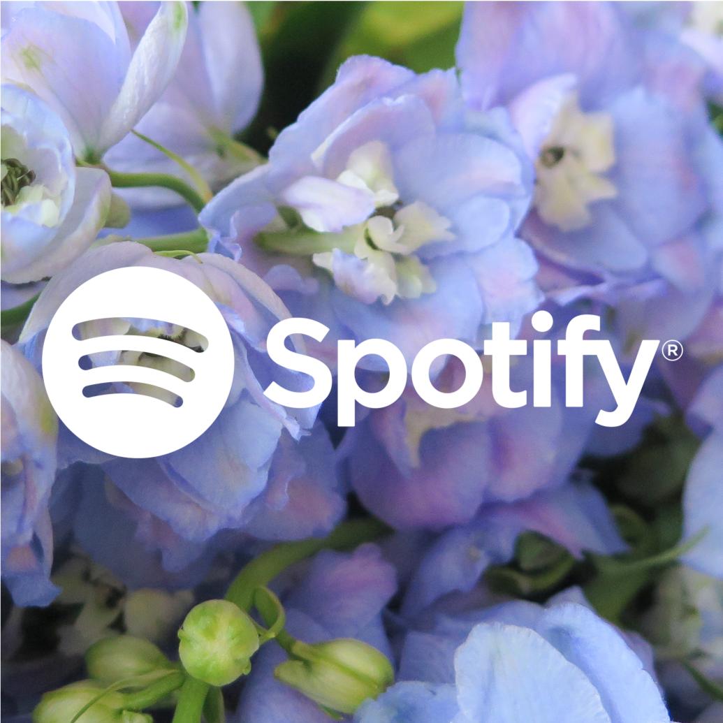 Julep's Women's Month Playlist - Feeling Good