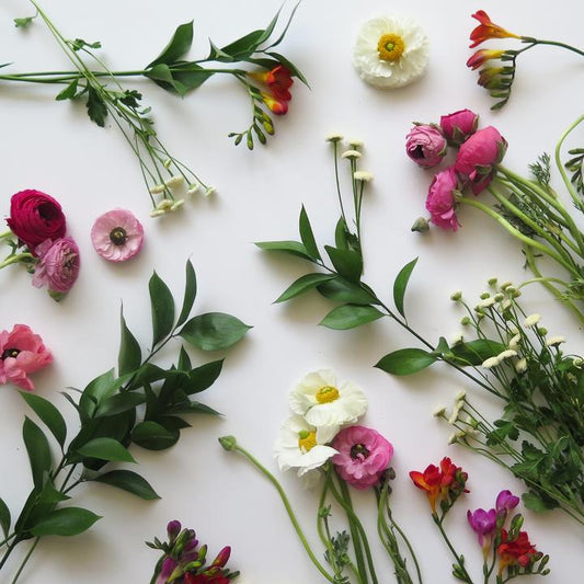 Julep's Spring Playlist - Here Comes The Sun