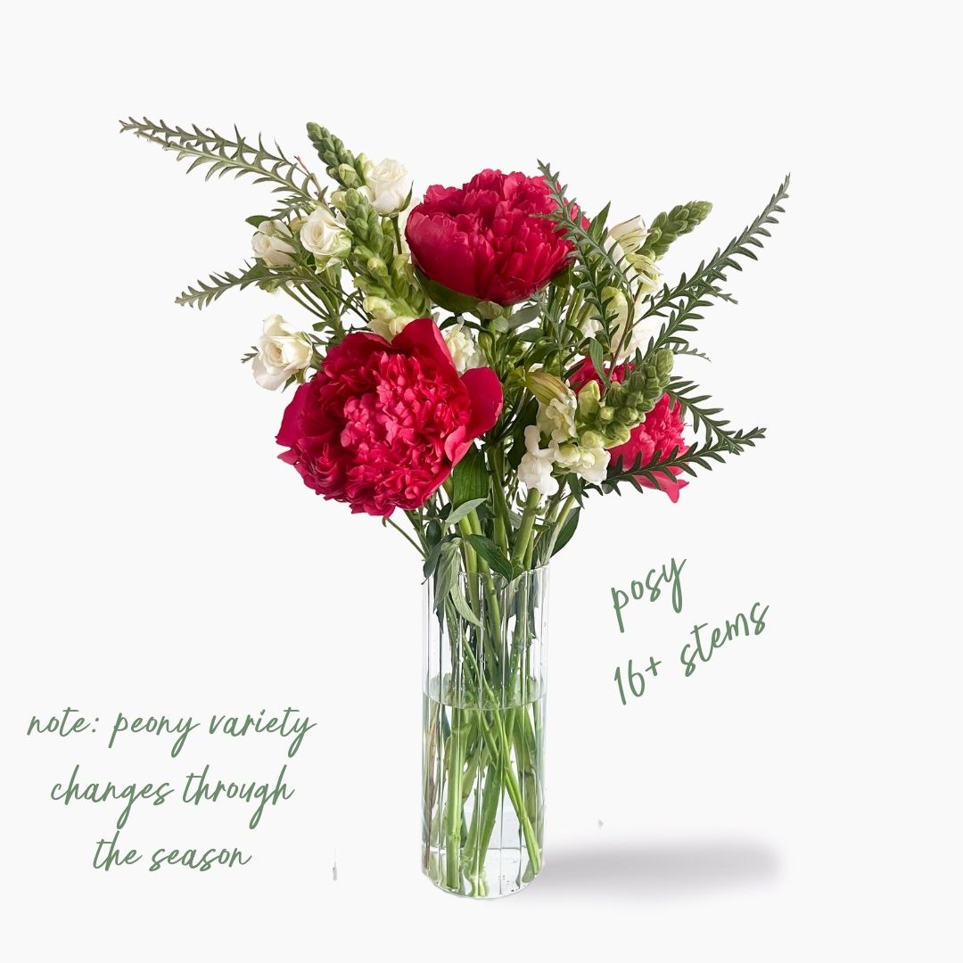 Seasonal Edit - Peony Edition