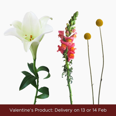 Sky Full Of Stars - ♡