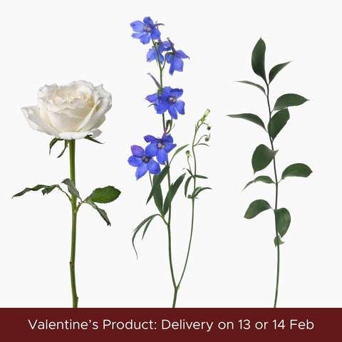 Dancing in the Moonlight - ♡