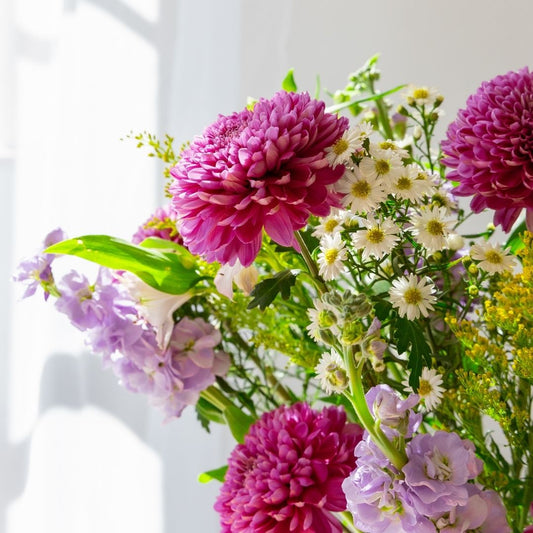 The Flower Subscription