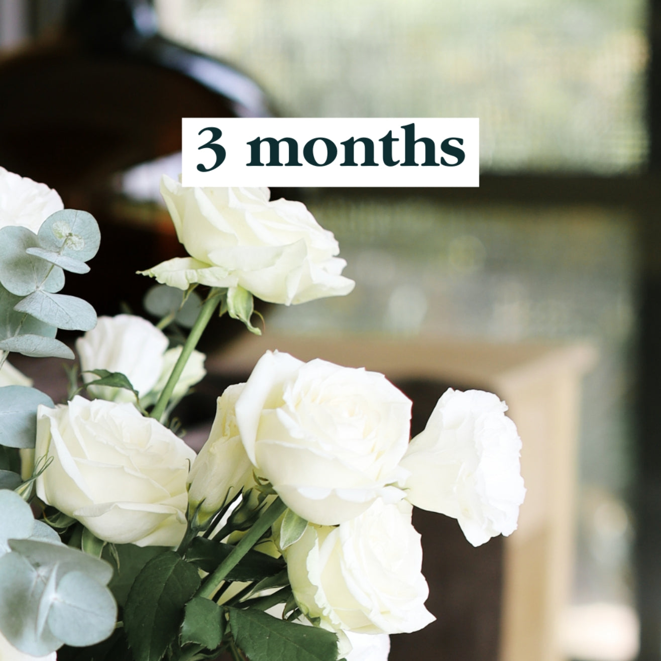 White roses with green stems and eucalyptus leaves in a soft-focus setting, with a white text box overlay reading '3 months'.