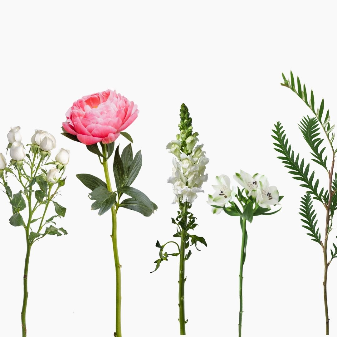 Seasonal Edit - Peony Edition