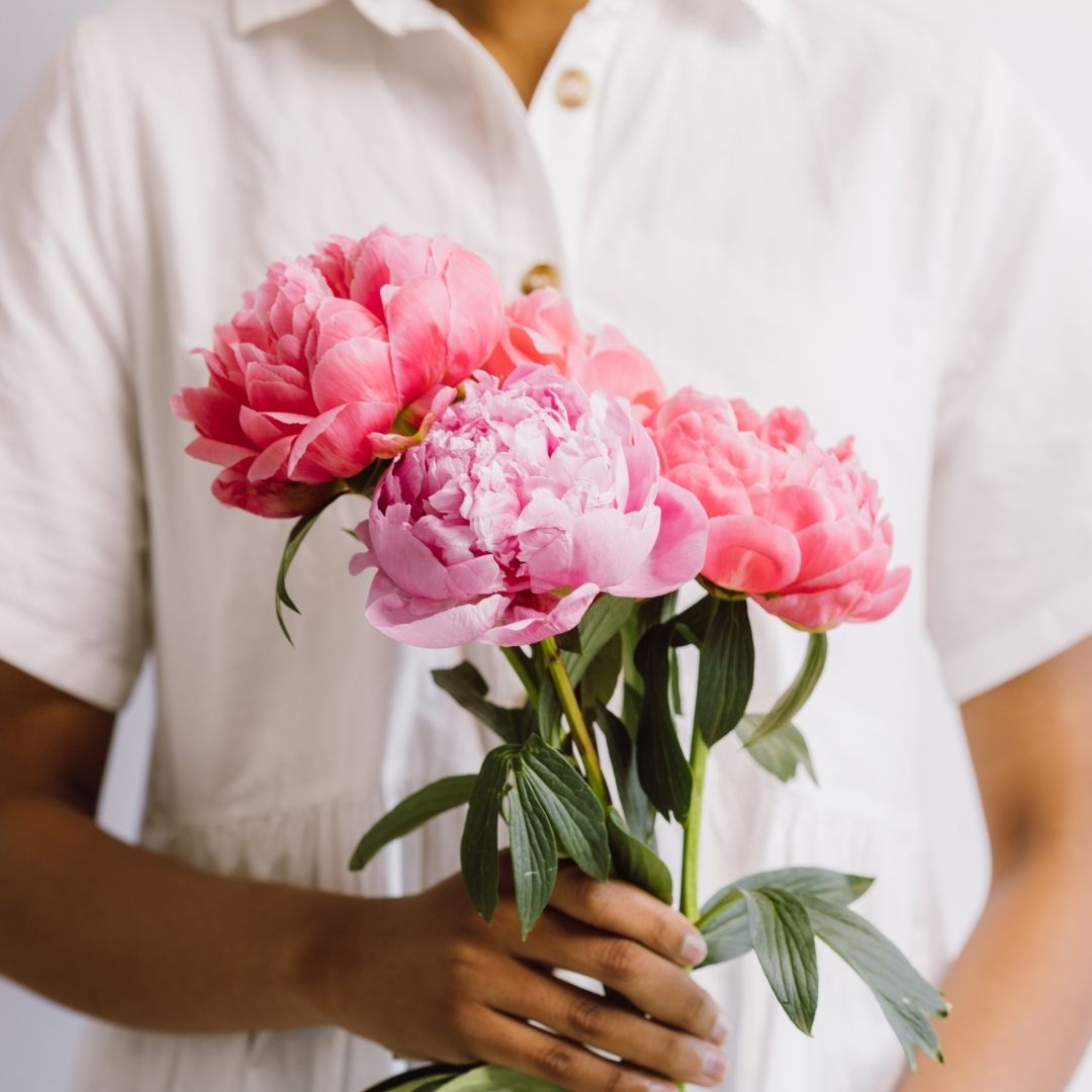 Seasonal Edit - Peony Edition