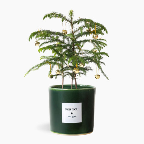 Little Christmas Tree - Ceramic